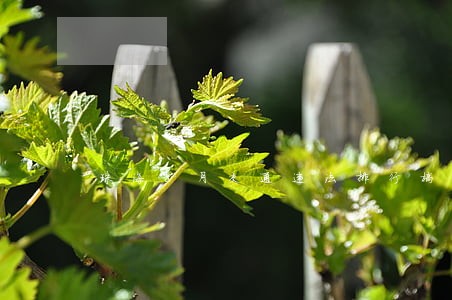 珠海8月交通违法排行榜前5曝光