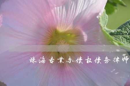 珠海专业办债权债务律师费用咨询 珠海专业办债权债务律师费用咨询