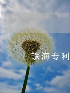 珠海专利侵权律师咨询 珠海专利侵权律师咨询