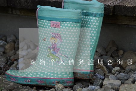 珠海个人债务逾期咨询哪家好 珠海个人债务逾期咨询哪家好