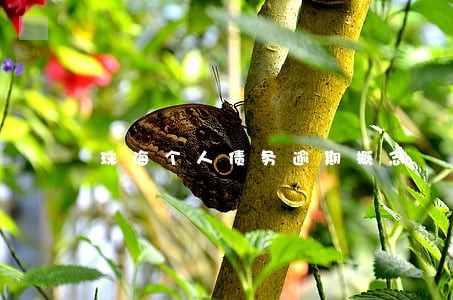 珠海个人债务逾期概念 珠海个人债务逾期概念