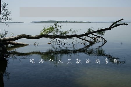 珠海个人欠款逾期案例 珠海个人欠款逾期案例
