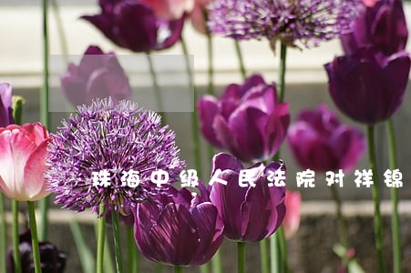 珠海中级人民法院对祥锦公司 珠海中级人民法院对祥锦公司