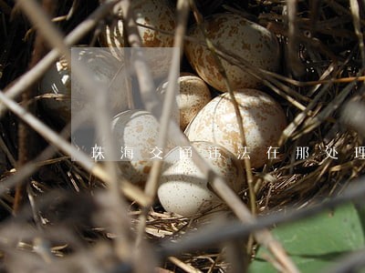 珠海交通违法在那处理 珠海交通违法在那处理