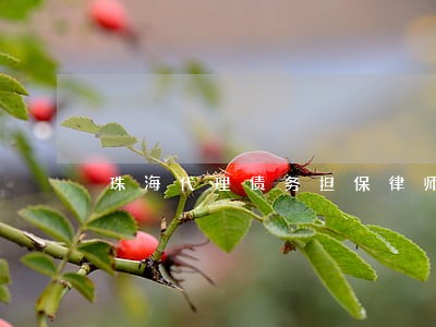 珠海代理债务担保律师推荐 珠海代理债务担保律师推荐