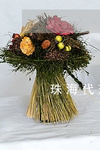 珠海代理债权债务律师推荐