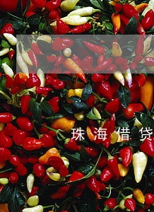 珠海借贷逾期
