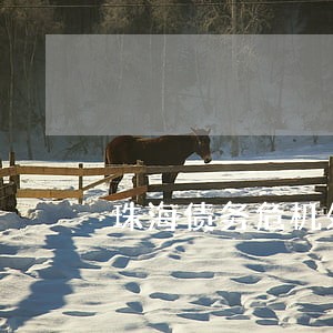 珠海债务危机处理律师