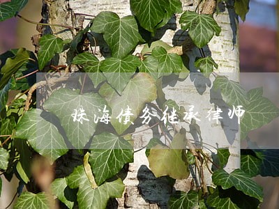 珠海债务继承律师 珠海债务继承律师