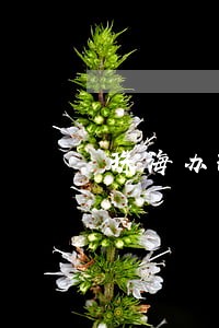 珠海办理债务纠纷律师电话咨询 珠海办理债务纠纷律师电话咨询