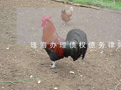 珠海办理债权债务律师费用咨询 珠海办理债权债务律师费用咨询