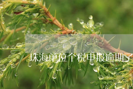 珠海单位个税申报逾期了怎么办 珠海单位个税申报逾期了怎么办