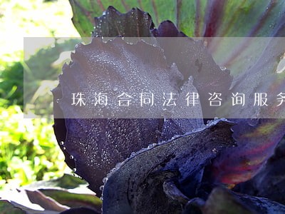 珠海合同法律咨询服务 珠海合同法律咨询服务