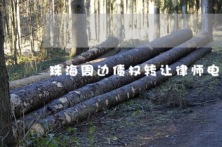 珠海周边债权转让律师电话多少 珠海周边债权转让律师电话多少