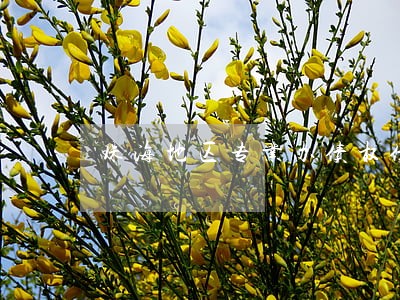 珠海地区专业办债权债务律师推荐 珠海地区专业办债权债务律师推荐