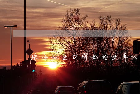 珠海地区口碑好的抚养权律师推荐 珠海地区口碑好的抚养权律师推荐