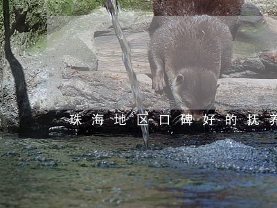 珠海地区口碑好的抚养权律师费用 珠海地区口碑好的抚养权律师费用