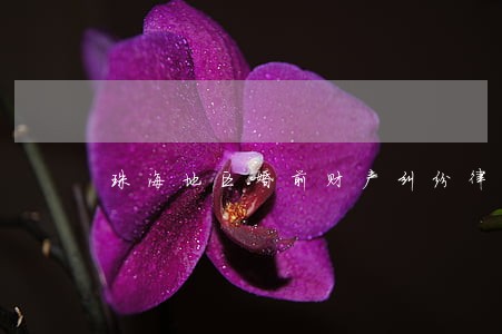 珠海地区婚前财产纠纷律师哪个好 珠海地区婚前财产纠纷律师哪个好
