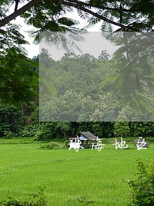 珠海地区离婚律师怎么委托 珠海地区离婚律师怎么委托