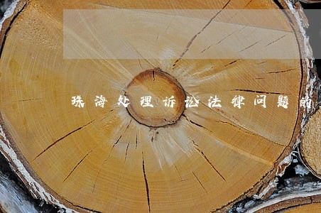 珠海处理诉讼法律问题的律师