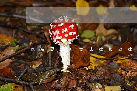 珠海夏湾居委法律援助律师