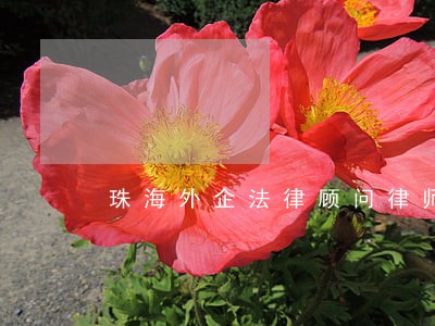 珠海外企法律顾问律师 珠海外企法律顾问律师