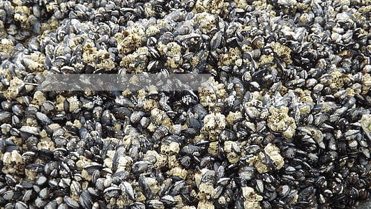 珠海好的律师免费咨询电话 珠海好的律师免费咨询电话