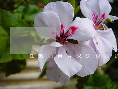 珠海如何寻求法律援助 珠海如何寻求法律援助