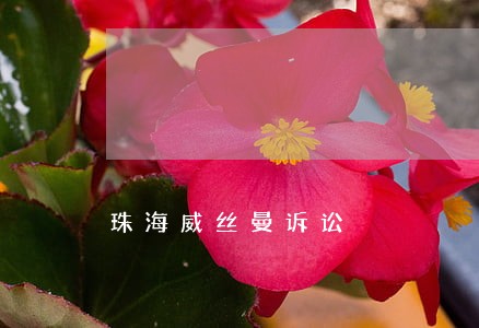 珠海威丝曼诉讼 珠海威丝曼诉讼