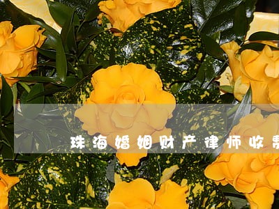 珠海婚姻财产律师收费 珠海婚姻财产律师收费