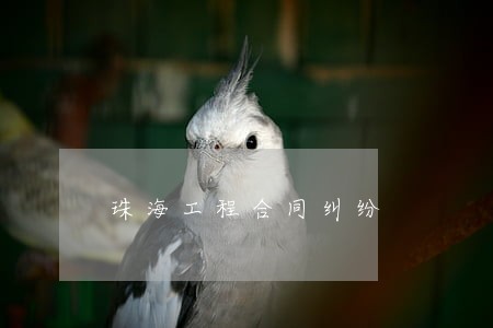 珠海工程合同纠纷 珠海工程合同纠纷