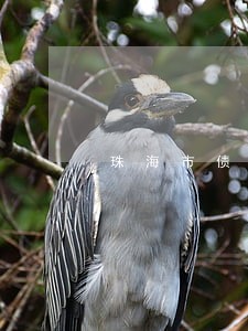 珠海市债务担保律师推荐 珠海市债务担保律师推荐