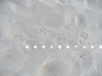 珠海市办理房产纠纷案律师 珠海市办理房产纠纷案律师