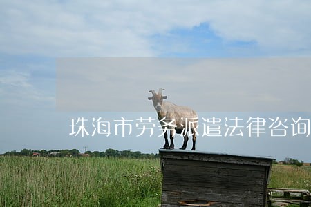 珠海市劳务派遣法律咨询 珠海市劳务派遣法律咨询