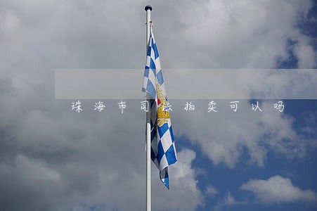 珠海市司法拍卖可以吗