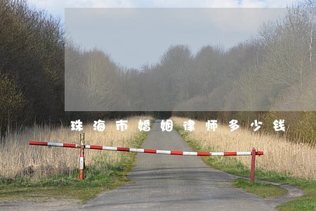 珠海市婚姻律师多少钱 珠海市婚姻律师多少钱