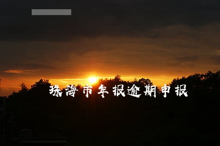 珠海市年报逾期申报 珠海市年报逾期申报
