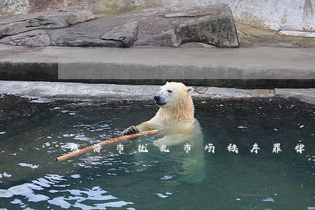 珠海市扰乱市场秩序罪律师咨询 珠海市扰乱市场秩序罪律师咨询