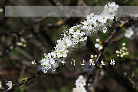 珠海市斗门法院直播 珠海市斗门法院直播