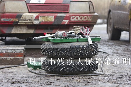 珠海市残疾人保障金逾期缴纳 珠海市残疾人保障金逾期缴纳
