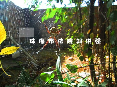 珠海市法院刘洪强 珠海市法院刘洪强