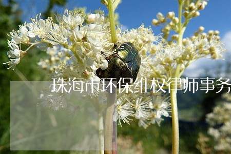 珠海市环保维权律师事务所