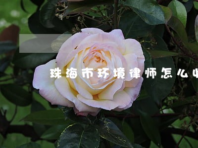 珠海市环境律师怎么收费
