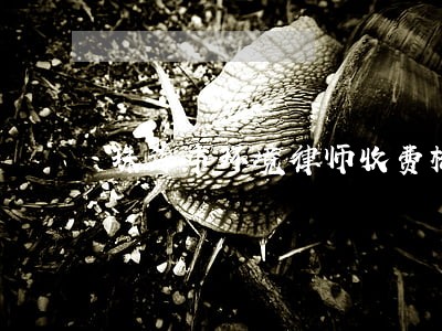 珠海市环境律师收费标准 珠海市环境律师收费标准