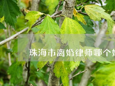珠海市离婚律师哪个好 珠海市离婚律师哪个好