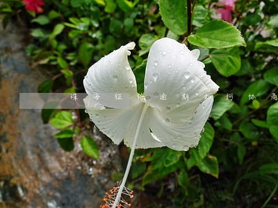 珠海征信逾期如何协商