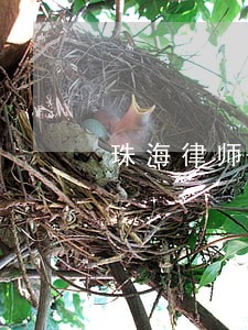 珠海律师事务收费标准