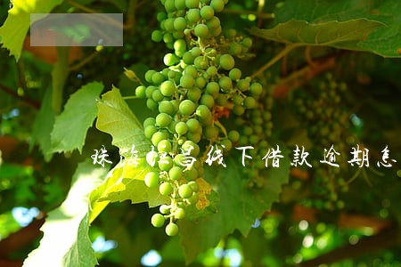 珠海恒昌线下借款逾期怎么办