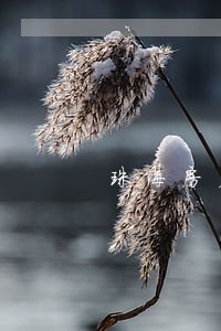 珠海房产继承律师 珠海房产继承律师