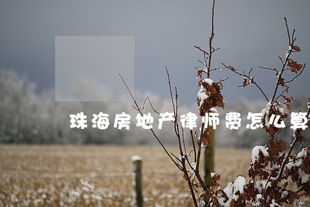 珠海房地产律师费怎么算 珠海房地产律师费怎么算